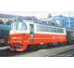 51390 - Střídavá elektrická lokomotiva S 499.1019 ČSD v unifikovaném nátěru, DCC, zvuk